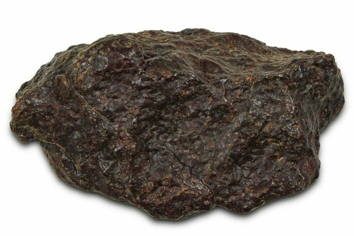 Chondrite Meteorite ( g) - Western Sahara Desert #371267